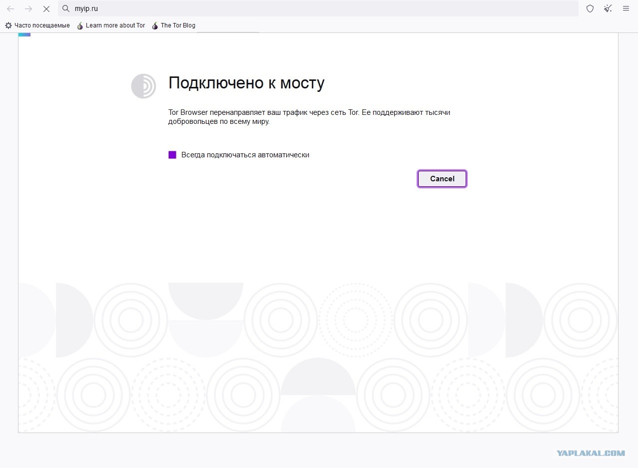 Kraken tor ссылка kraken014 com