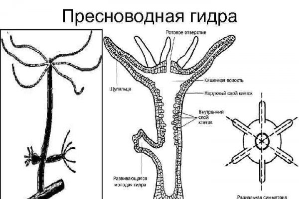 Кракен сайт kr2web in цены